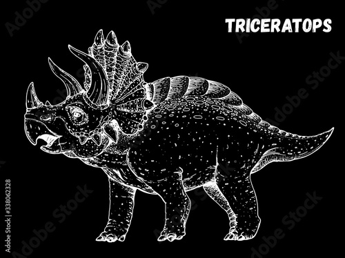 Triceratops dinosaur hand drawn sketch. Vector illustration. Herbivorous dinosaur