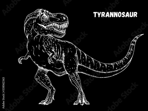 Tyrannosaur dinosaur hand drawn sketch. Vector illustration. Carnivorous dinosaur