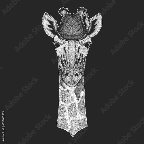 Zebra portrait. Oktoberfest. Tirol traditional hat. Beer festival. Head of wild animal.