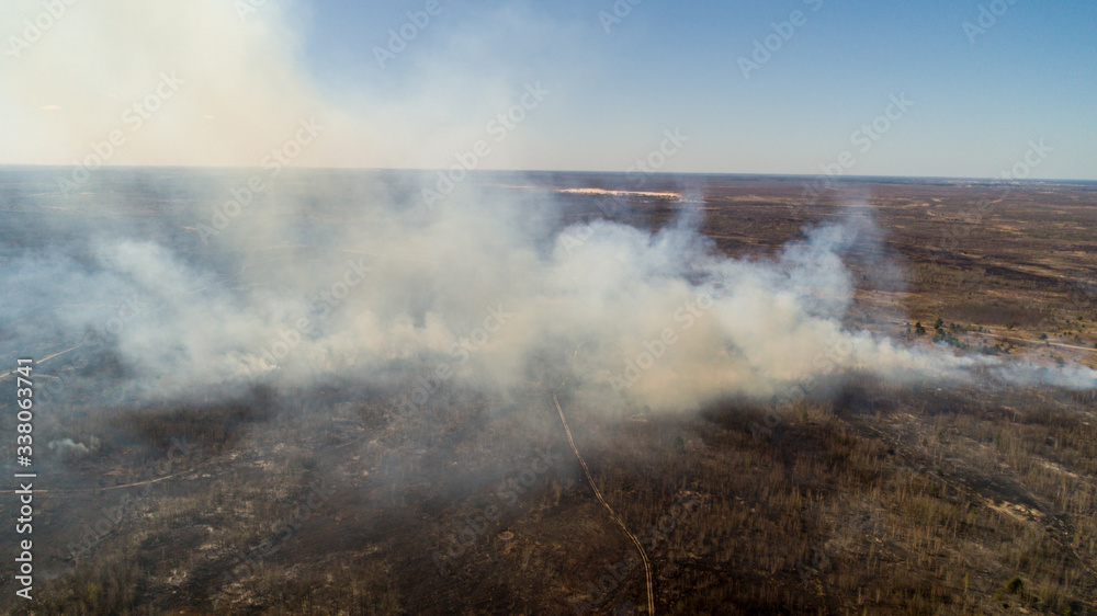 In Ukraine, forests and fields are burning. In Ukraine, forests and fields are burning.