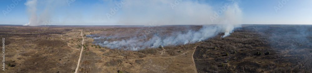 Large-scale fire burned forest and field Panorama.