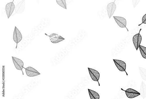 Light Silver, Gray vector doodle backdrop.