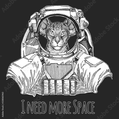 Oriental shorthair cat head. Wild animal wearing space suit. Portrait of animal.