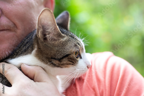 adult man holds a cat in his arms, holding it to himself