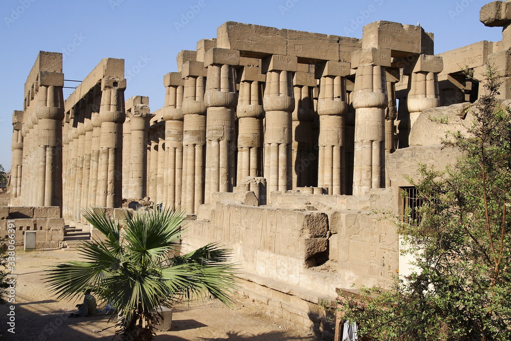Fototapeta premium Temple of Luxor in Egypt