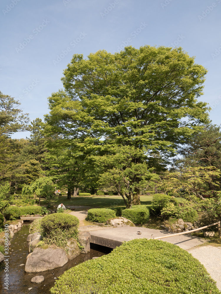 Jardines Kenrokuen, en Kanazawa, Japón