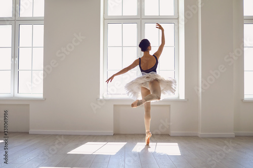 Canvastavla Ballerina