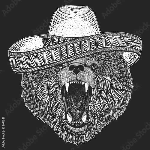 Wild bear. Sombrero is traditional mexican hat. Mexico. Portrait of animal for emblem, logo, tee shirt.