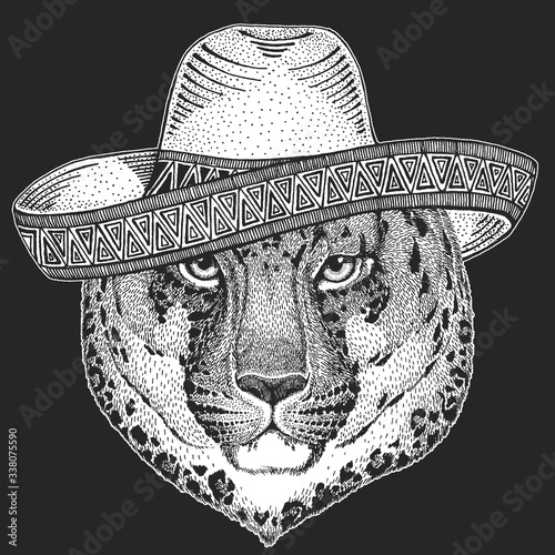 Leopard, jaguar face. Sombrero is traditional mexican hat. Mexico. Portrait of wild animal.