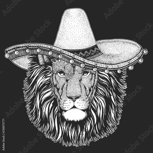 Lion head. Sombrero is traditional mexican hat. Mexico. Wild animal portrait. Face of african cat.