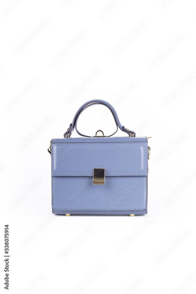 leather elegant women bag. Fashionable female handbag, isolated