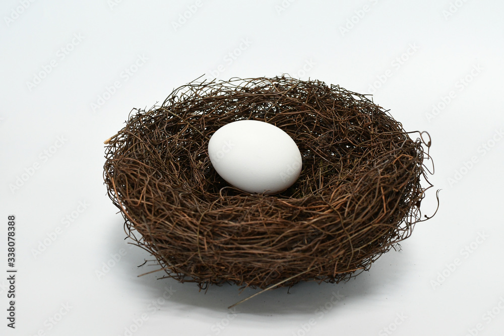 bird nest with egg isolated on white background bird nest with egg isolated on white background