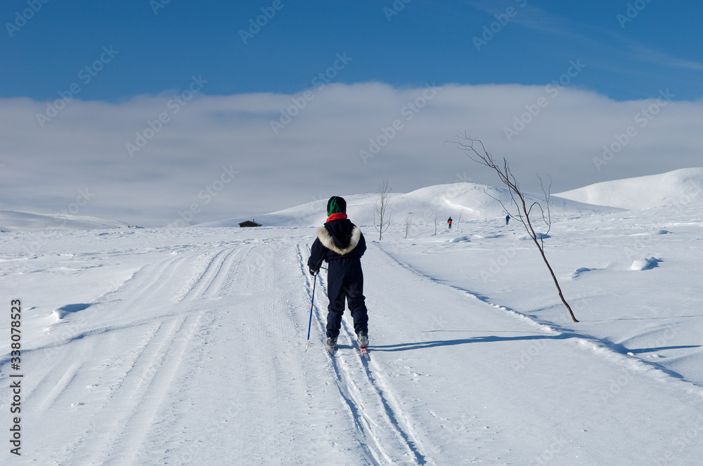 Family skiing in Norwegian mountains