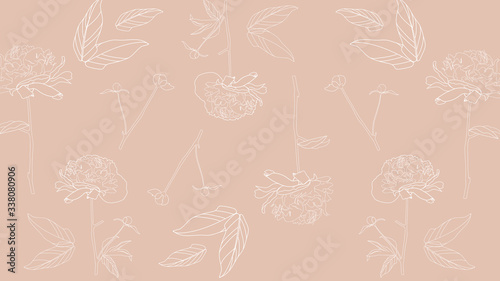 Line art peonies flowers on beige background