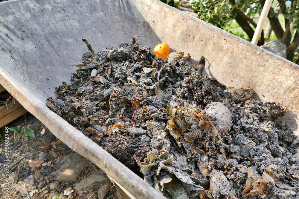 Biodiversity Of Soil Production Humus Produced By Decomposition Of 