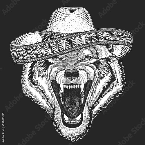 Wolf portrait. Sombrero is traditional mexican hat. Mexico. Head of wild animal.