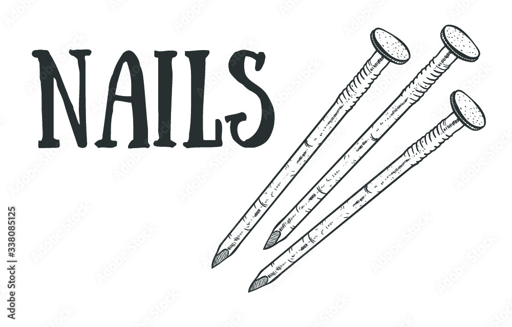 Hand drawn nail heads vector sketch. Doodle drawing. Vector sketch
