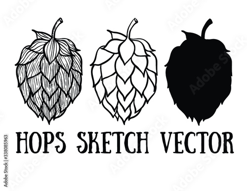 Hops vector visual graphic icons or logos, ideal for beer, stout, lager, bitter labels & packaging.