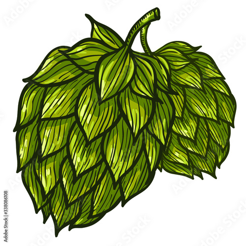 Hops vector visual graphic icons or logos, ideal for beer, stout, lager, bitter labels & packaging.