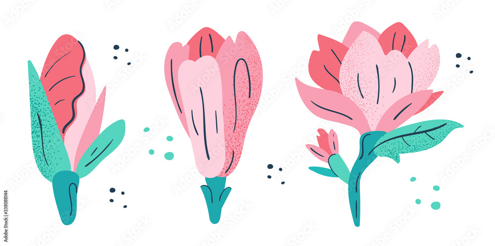Little pink magnolia flowers set. Flora design elements. Wild life, nature, blooming flowers, botanic. Flat colourful vector illustration icon sticker isolated on white background.