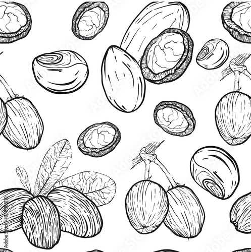 Shea nuts seamless pattern.