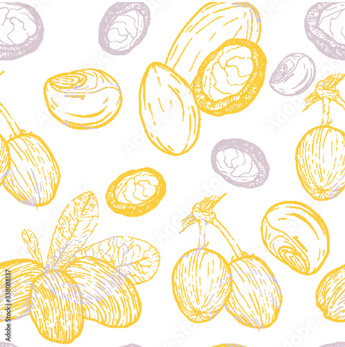 Shea nuts seamless pattern.