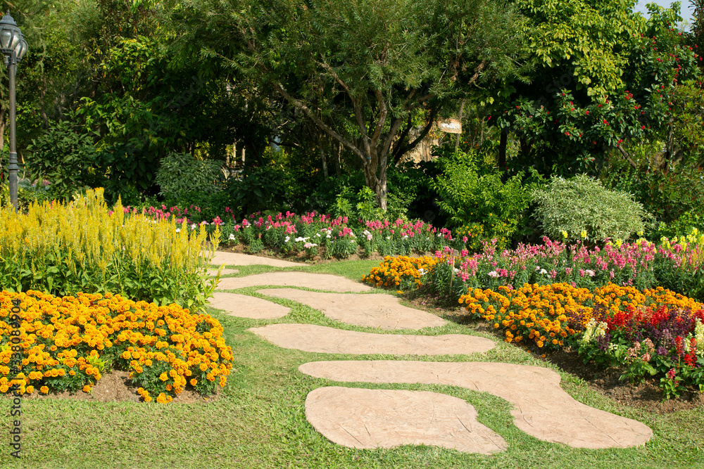 path way in garden in the flowers garden.