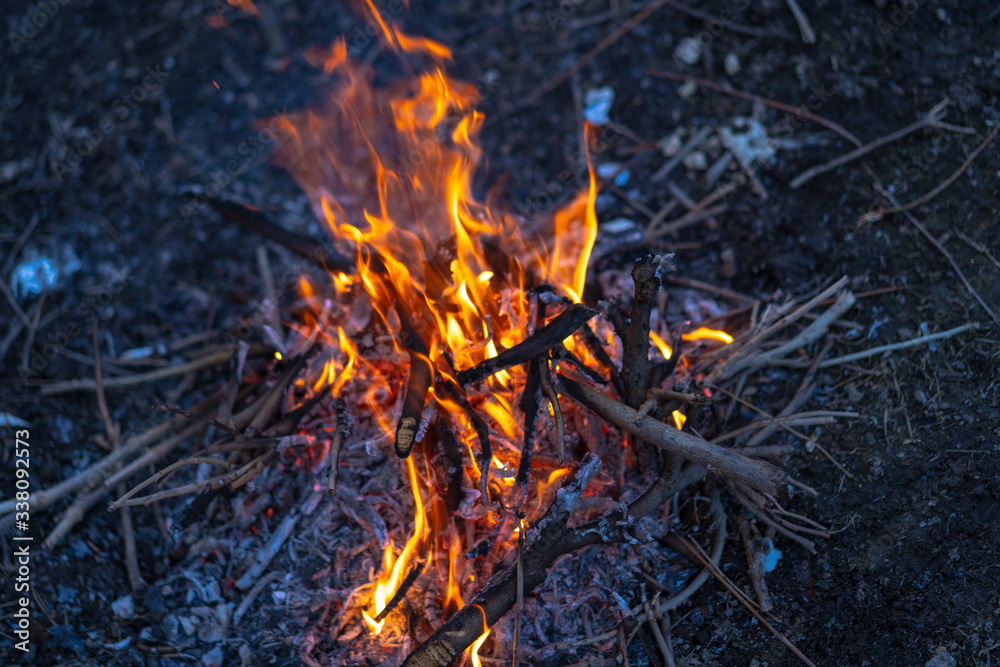 Small bonfire with fire sticks and ashes. Small bonfire with fire sticks and ashes.