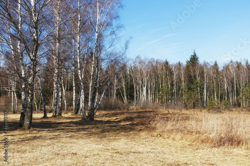 Naturschutzgebiet Wildmoos bei Gilching, westlich von München photo