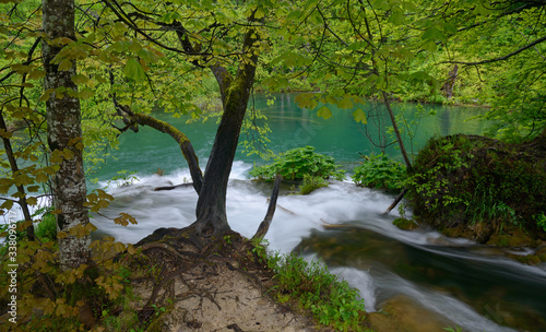 Lush green foliage and green water - Plitvice Lakes Park