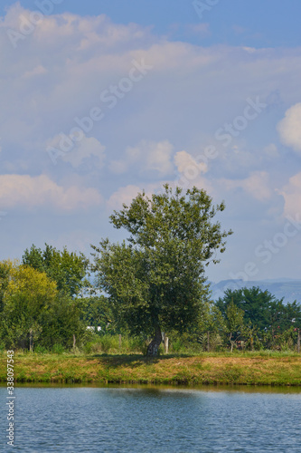 landscape with lake, trees and blue sky with clouds