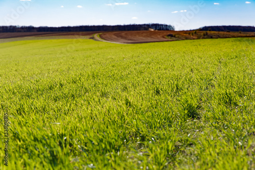 green field with blue sky and white clouds