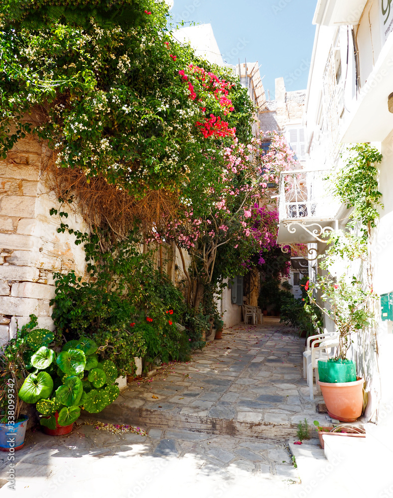 Obraz premium One of the charms of the Greek islands in the heart of the cyclades, are its narrow streets : white houses with small flowered balconies touching almost above paved streets