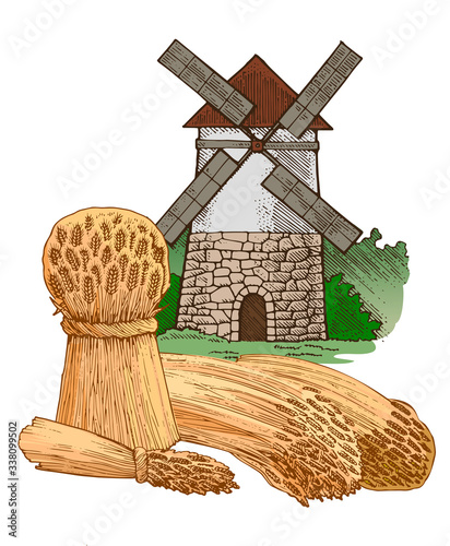 Sheaves of dry ripe wheat, Milling windmill. Isolated vector on a white background. Stack. Spike Production of flour, bread, bakery, farmer's traditional products.