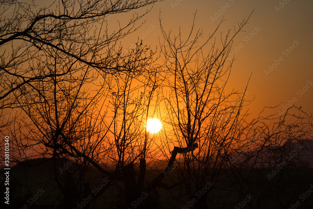 Romantischer Sonnenaufgang, Sonnenuntergang auf dem Land - oranger Himmel, Bäume und Äste als Schatten, im Hintergrund der Hesselberg