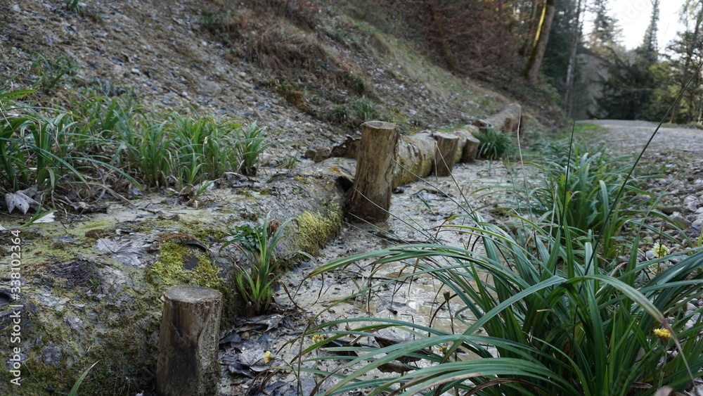 Obraz premium Wasser im Wald