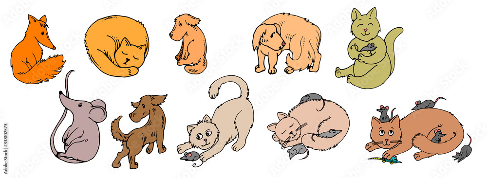 Obraz premium Cats and dogs. Set. Vector is isolated on a white background. Cartoon. Hand drawing.