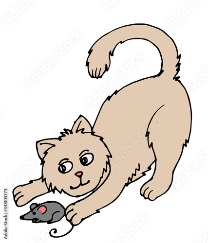 The cat caught a mouse and plays with it.
Vector is isolated on a white background. Cartoon. Hand drawing.
