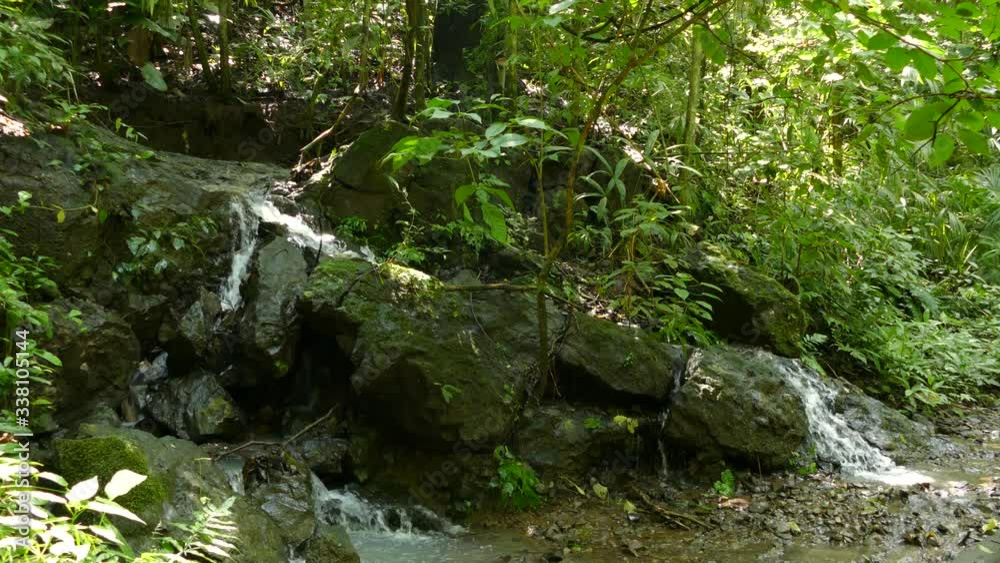 The stone where the river borns from lush rainforest The stone where the river borns from lush rainforest
