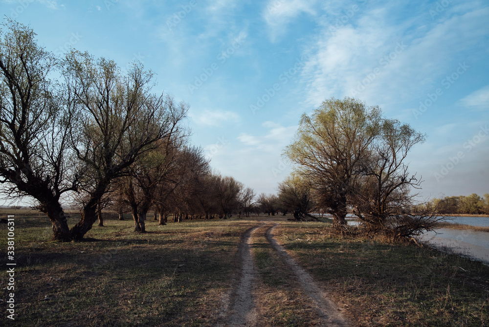 the dirt road goes off into the distance on a green field. the dirt road goes off into the distance on a green field.