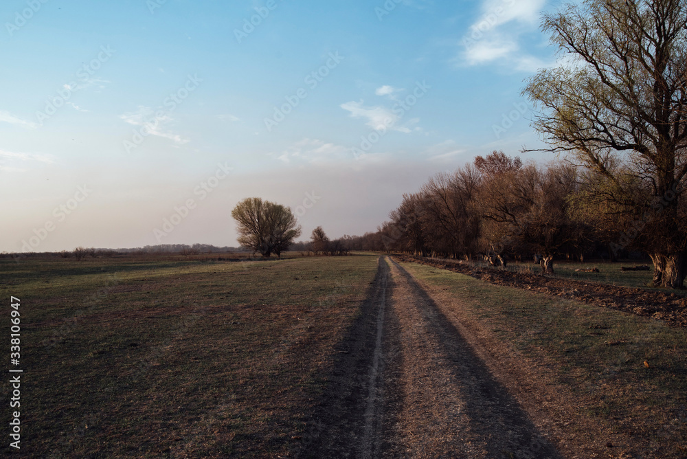 Naklejka premium the dirt road goes off into the distance on a green field.