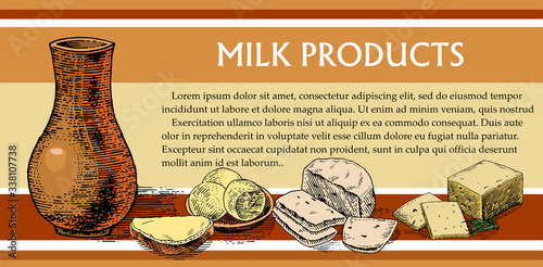 Dairy products isolated vector. A jug of milk, homemade butter, a sandwich, soft white cheese with raisins, yellow hard cheese with greens. Concept design for label, signboard, poster. Retro style.