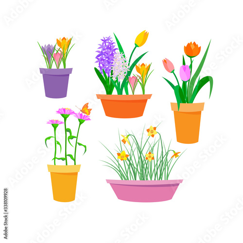Set of spring multi-colored flowers hyacinth  tulip  crocus  narcissus  zinnia with butterfly in colored pots. Isolated vector flat illustration with texture. For postcard  banner  poster  packing