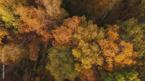 A drone flies over the autumn forest. Autumn in central Russia. The view from the height. photo