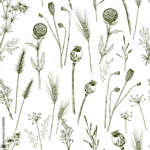 Seamless pattern with green wild herbs  wheat spikelets and poppy seed boxes.