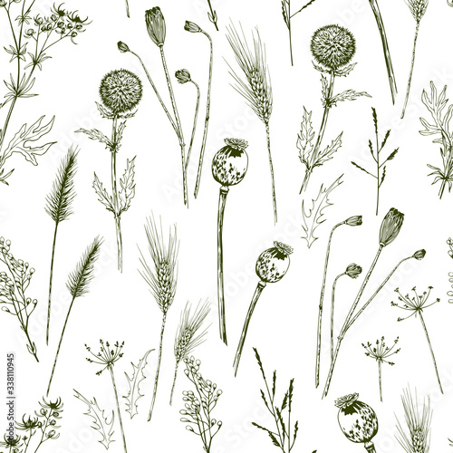 Seamless pattern with green wild herbs, wheat spikelets and poppy seed boxes.