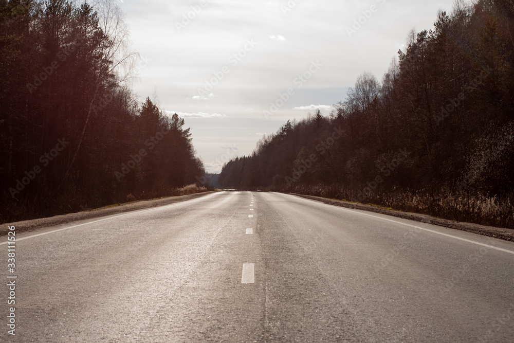 Fototapeta premium early spring. paved road in the forest