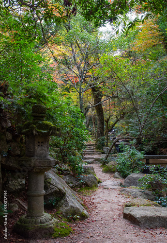 Park  in autumn day. Autumnal nature of Japan. Autumn colors of Momiji-dani park on Itsukushima (Miyajima) Island in Japan. 