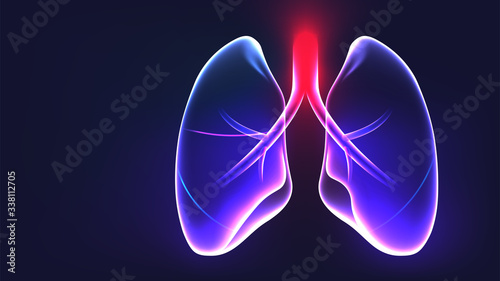 Lungs anatomy part vector illustration