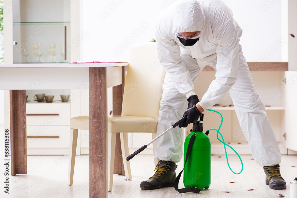 Young male contractor doing pest control at home